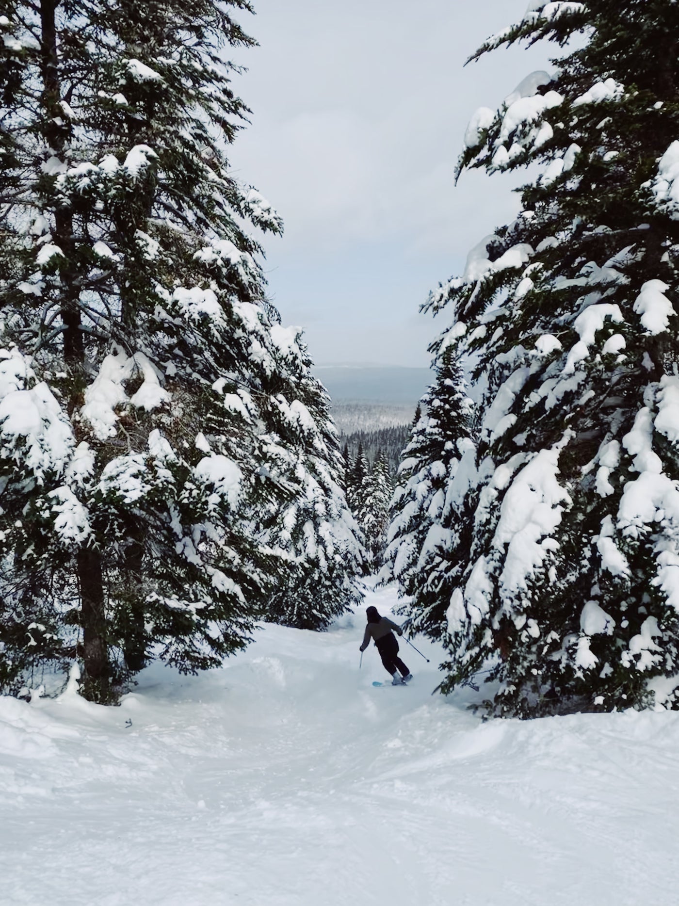 La montage où tu dois absolument aller skier avant la fin de la saison!