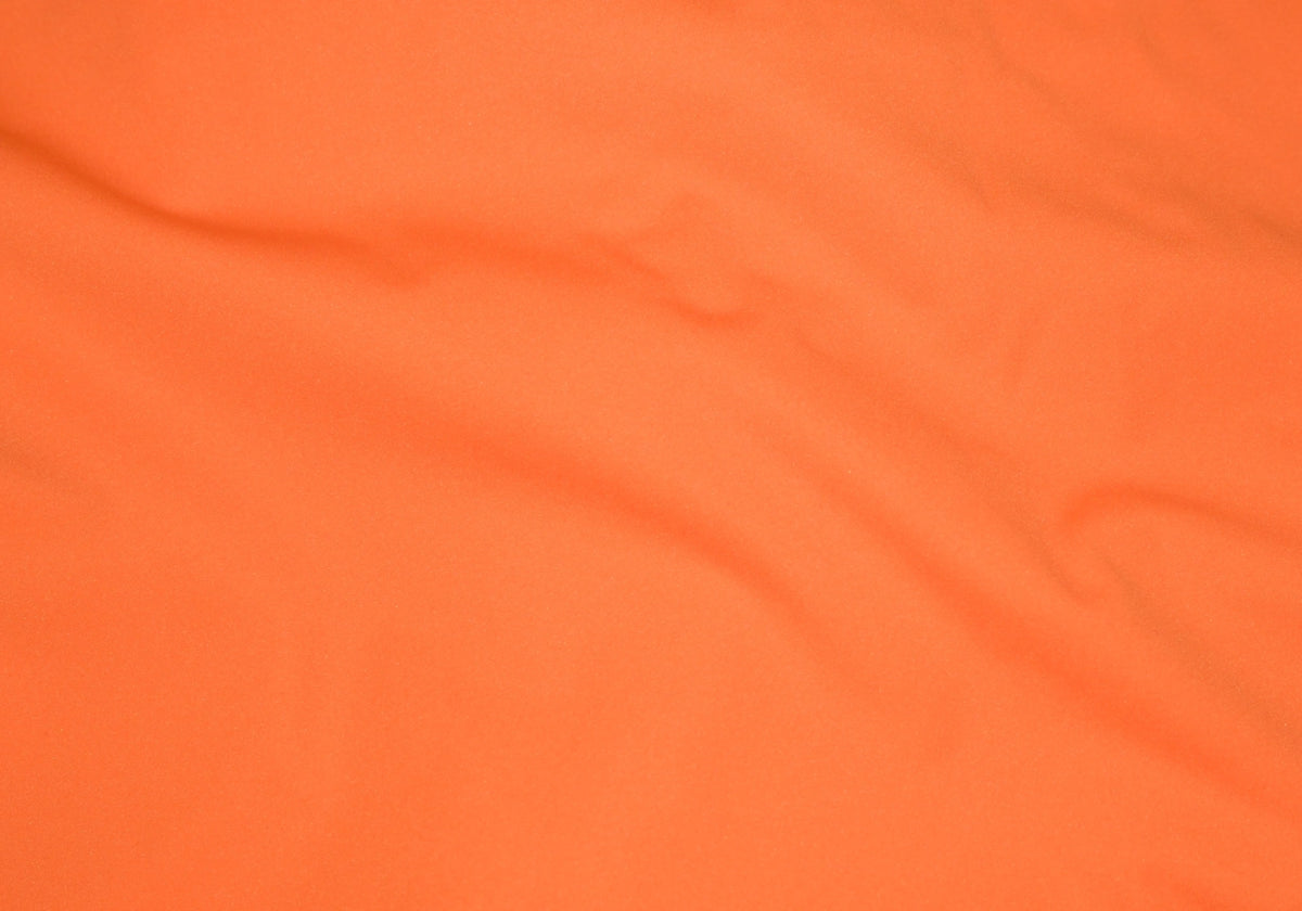 Image de diapositive